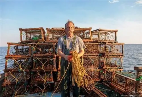 Джо Гиллис ловит лобстеров в Инвернессе, PEI.