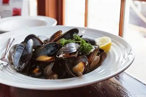 Мидии на старой рыбной фабрике в Луненбурге, Новая Шотландия.