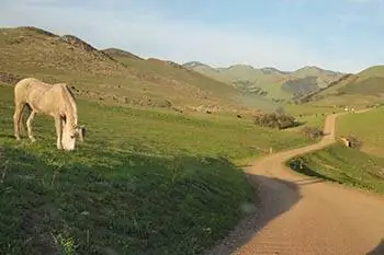 Побег на побережье Центральной Калифорнии