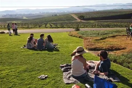 Baileyana, винодельня на центральном побережье Сан-Луис-Обиспо в Калифорнии. Эдна Вэлли имеет свою собственную AVA с 1984 года. Фотографии Макса Хартсхорна.