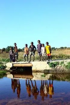 На берегу реки