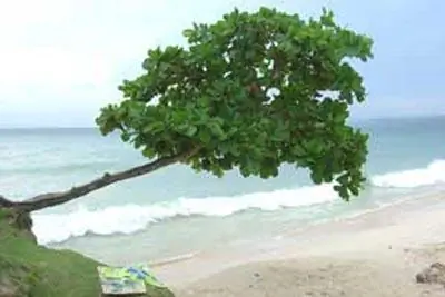 Пуэрто-Плата: тропические ландшафты и нетронутые пляжи