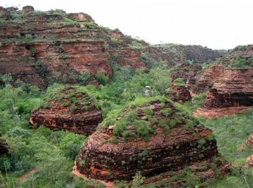 Национальный парк Хидден-Вэлли недалеко от Кунунурры, Западная Австралия.