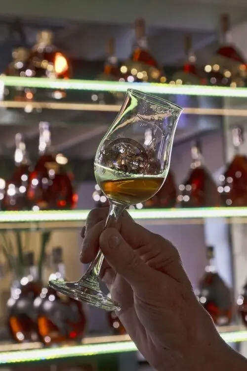 Дегустация в AC Meukow