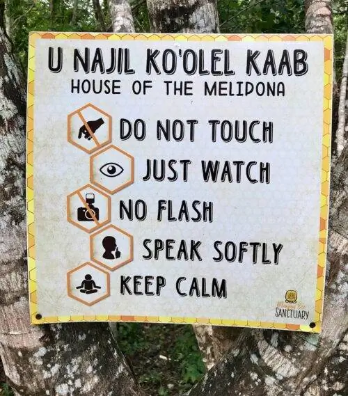 Знак правил дома в пчелином заповеднике майя