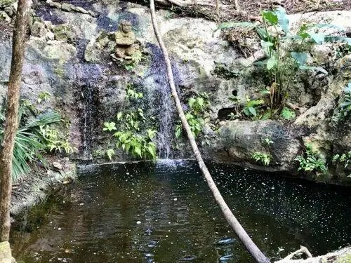 Небольшой открытый сенот, пчелиный круглогодичный источник воды.