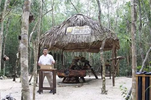 Образовательный центр джунглей