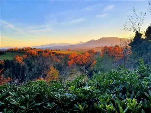 вид из окна