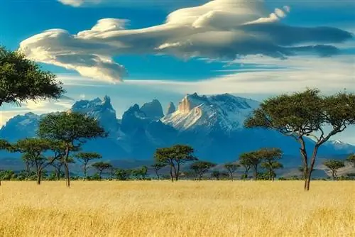 Наблюдение за 6 менее популярными африканскими животными