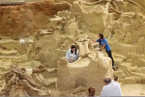 Мамонтовая кость-Хот-Спрингс