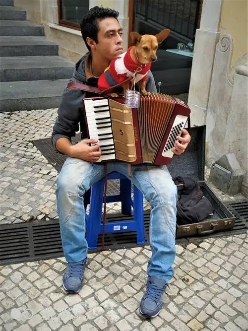 Музыкант на улицах Коимбры, Португалия.