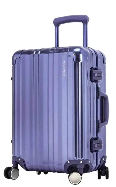 Чемодан Riccardo Aileron на осень