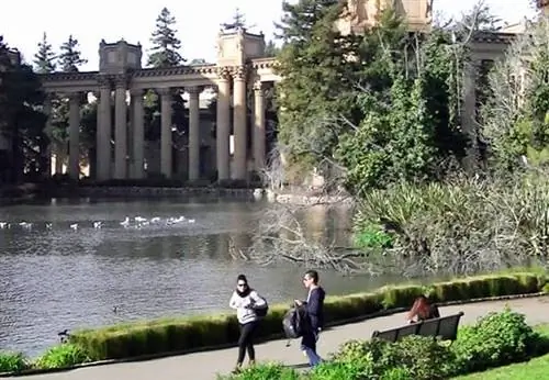 Дворец изящных искусств, район Марина