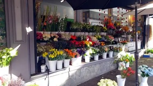 Цветочный рынок в Кау-Холлоу, Сан-Франциско.