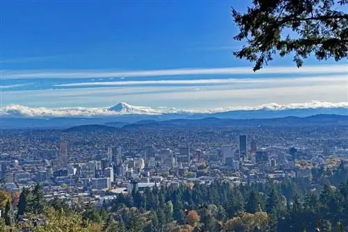 Вид на гору Маунт-Худ и центр Портленда, штат Орегон, из особняка Питток. Фотографии Кэтрин Родегир.