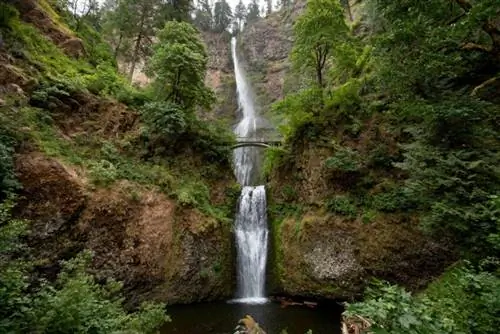 Водопад Малтнома за пределами Портленда принимает более двух миллионов посетителей в год. Фото предоставлено Кэти Фалькенберг/Travel Portland