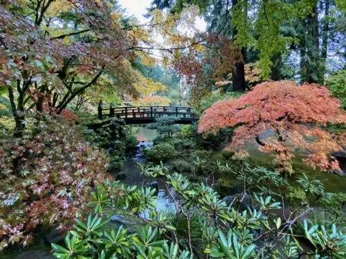 Японский сад в Портленде начался как жест мира между бывшими противниками во время Второй мировой войны.