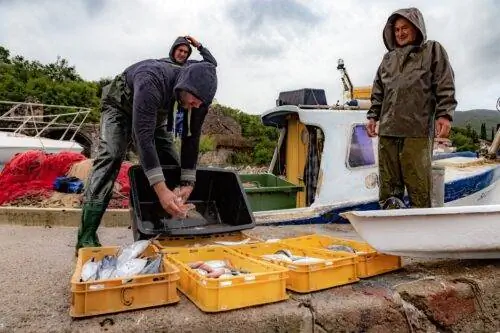Рыбаки возвращаются к причалу Белилы после утренней работы.