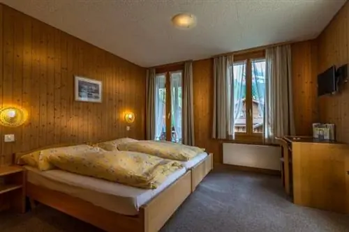 Стандартный двухместный номер в отеле "Эдельвейс".