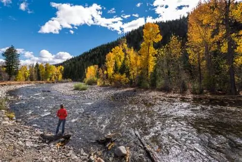 Река Биг Вуд