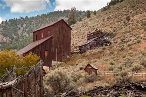 BayhorseStamper СараШихи