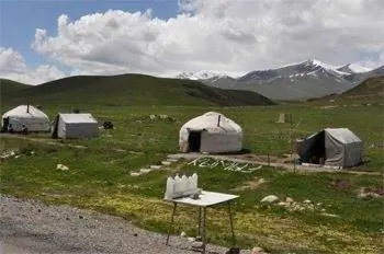 Продается кобылье молоко.