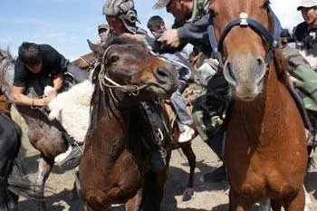 Поло с мертвой козой, Национальный вид спорта Кыргызстана