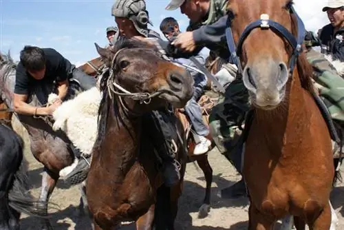 Всадник хватает тушу козла на матче Dead Goat Polo в Ашуу, Кыргызстан. Фото Софи Ибботсон.