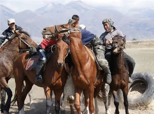 Dead Goat Polo во многом обязан борьбе, как и поло.