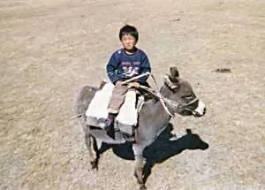 Пастухи живут своими животными и рано учатся ездить верхом.