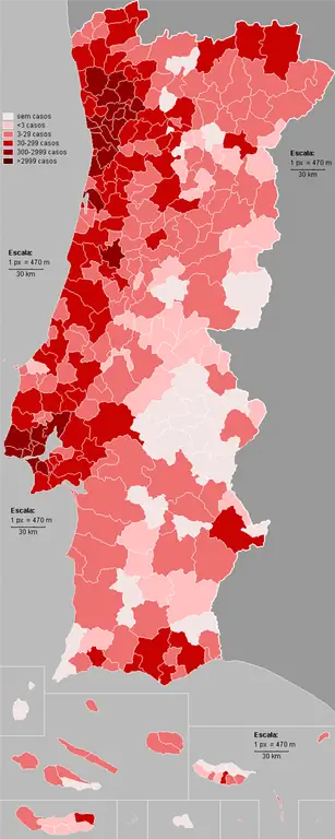 Португалия не так сильно пострадала от коронавируса, как другие соседние страны.