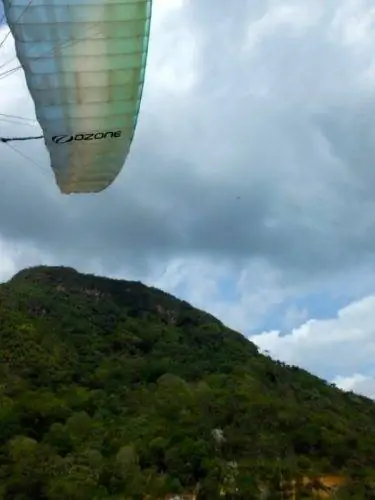 Могучее большое крыло.