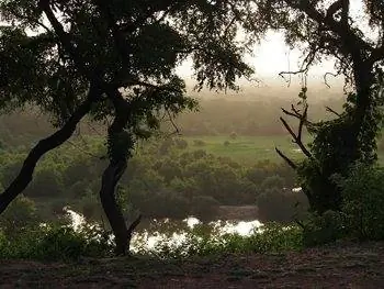 Вид из отеля Mole в Национальном парке Моле в Гане на сафари по национальному парку Моле в Гане. фотографии Адама Блэка.