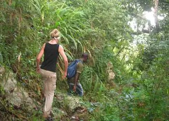 Поход по тропическому лесу недалеко от Амедзофе, Гана.