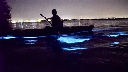 Подготовка к ночному световому шоу в лагуне Индиан-Ривер&copy;A Day Away Kayaking tours