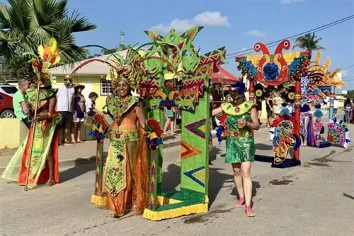 Безумный Карнавал на Бонайре: больше, чем дайвинг