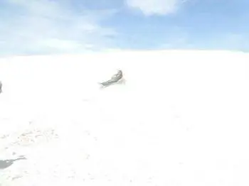 Штеффи катается на санках по белым песчаным дюнам