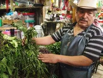 Продавец лекарственных трав на рынке Сан-Анхель.