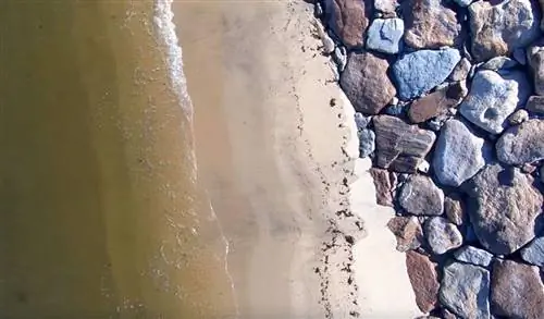 дрон выстрелил эйлин коттер райт чистый бродить