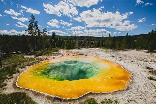 фумерола в Йеллоустоне