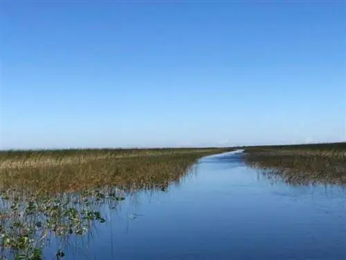 Отправляемся в открытые воды Эверглейдс во Флориде. Фотографии Норин Компаник.