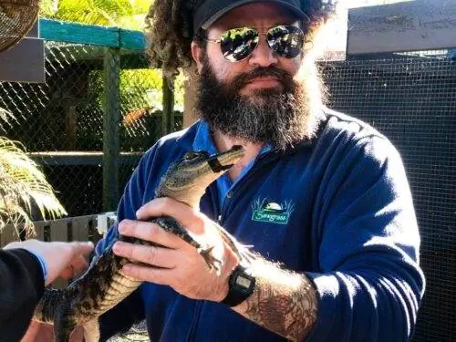 Автор гладит детеныша аллигатора, которого держит наш опытный гид.