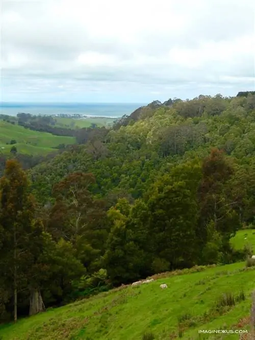 Аполло Бэй, Сидней, Австралия.
