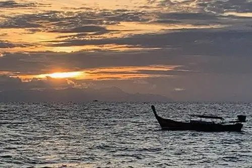 Золотое солнце выглядывает на рассвете, когда одинокий длиннохвост проплывает по пляжу Санрайз.