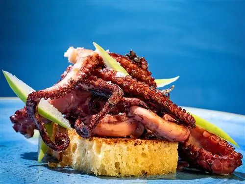 Octopus в ресторане Cap Roig Brasserie