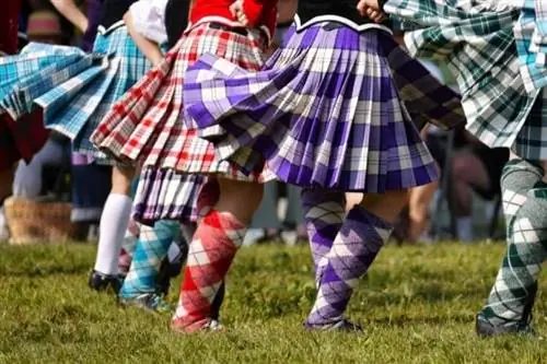 Костюм Highland Dance состоит из: носка и килта в клетку, бархатного жакета с кружевной вставкой или бархатного жилета без рукавов, надетого поверх белой блузки.