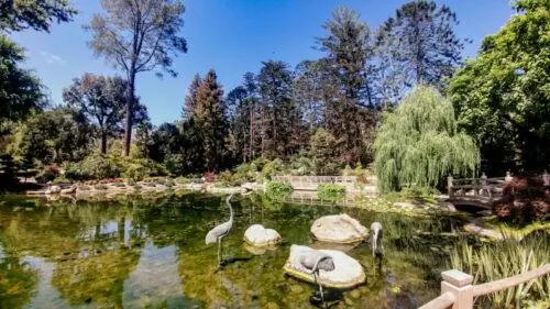 Великолепная погода в Санта-Барабаре во время прогулки по Lotusland.