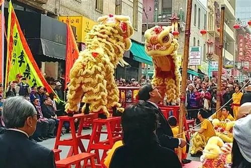 Танец льва на праздновании Нового года.