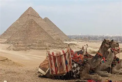 Кэт сказала: «Если ты когда-нибудь собираешься покататься на верблюде, тебе сюда!» и она была права