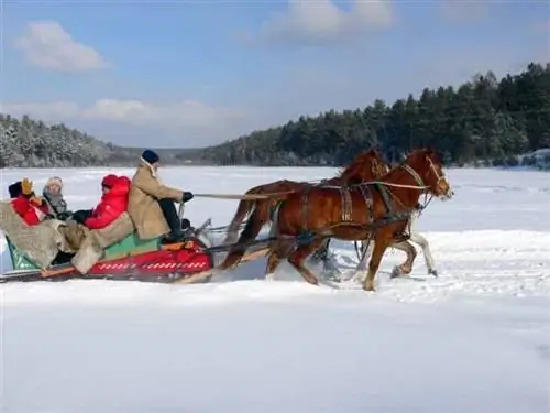 Покатайтесь на тройке!